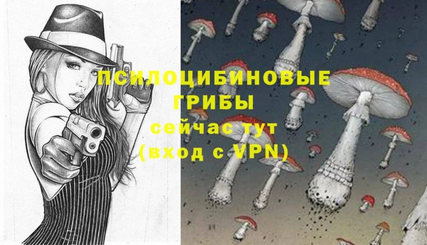 метамфетамин Покачи