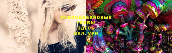 гашик Покров