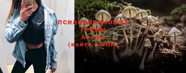 каннабис Покровск